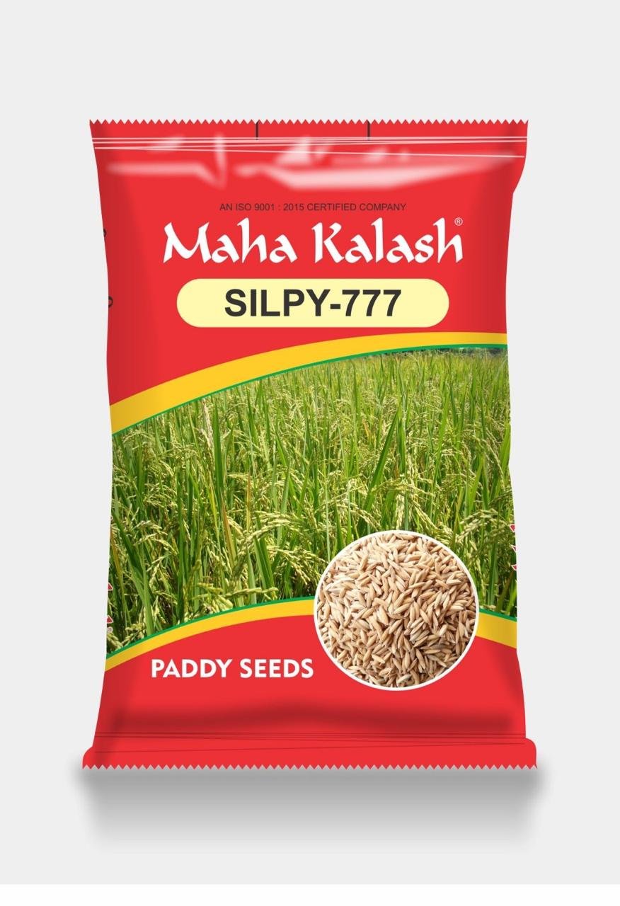 WhatsApp Image 2025-09-25 at 10.31.05 PM (1)