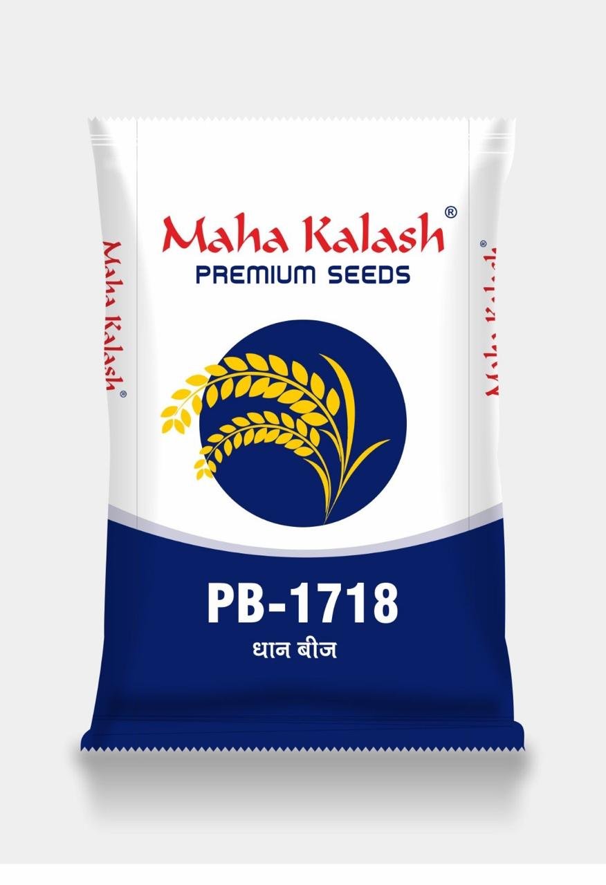 WhatsApp Image 2025-09-25 at 10.31.06 PM (2)