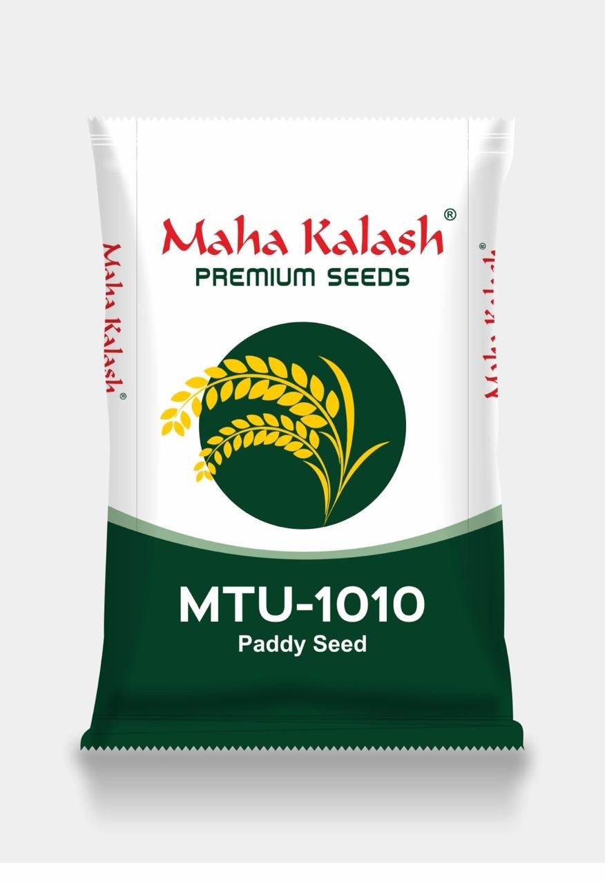 WhatsApp Image 2025-09-25 at 10.31.07 PM (1)