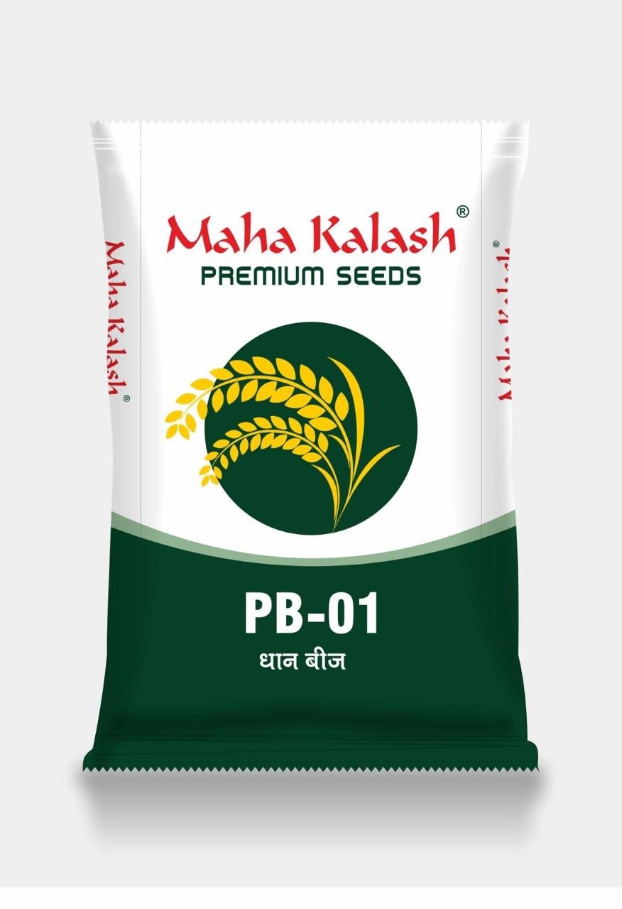 WhatsApp Image 2025-09-25 at 10.31.07 PM