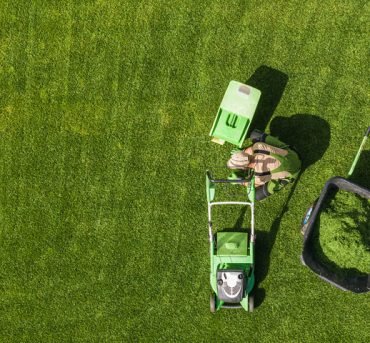 Lawn-Maintenance