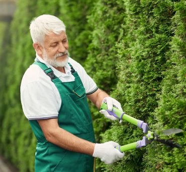 Pruning-plants Pruning-plants